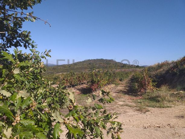 Terreno c/ +5.000ha · Covilhã