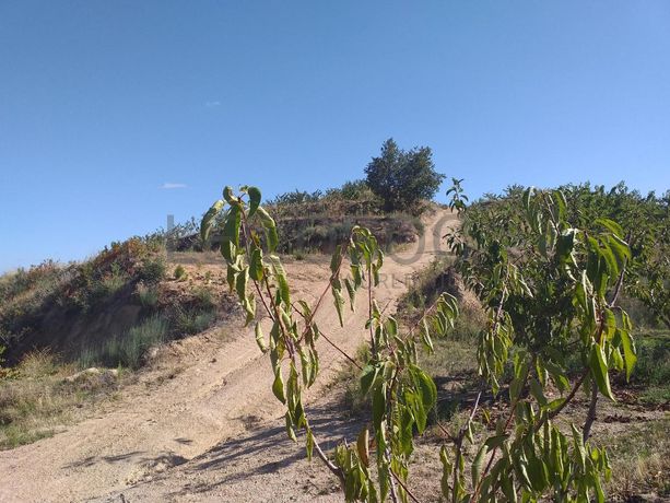 Terreno c/ +5.000ha · Covilhã