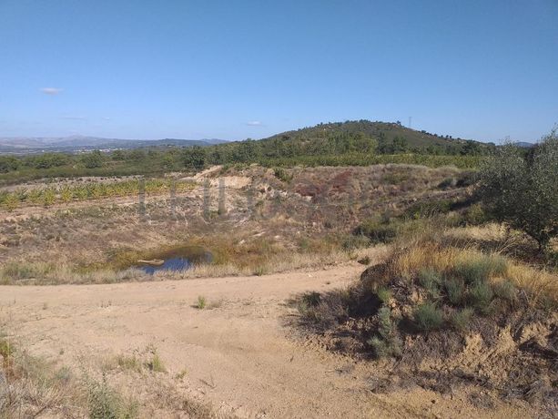 Terreno c/ +5.000ha · Covilhã