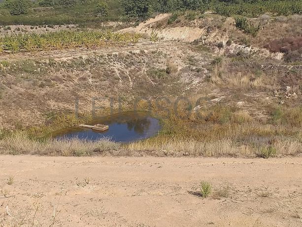 Terreno c/ +5.000ha · Covilhã