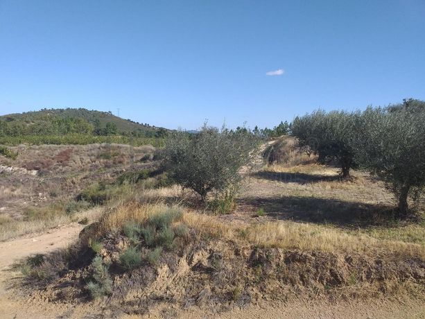 Terreno c/ +5.000ha · Covilhã