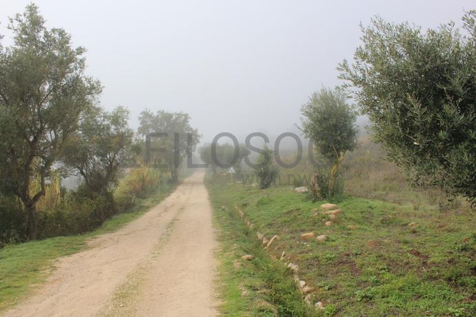 Herdade c/ 25 Hectares · Alenquer