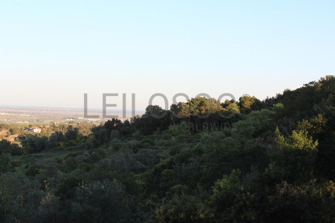 Herdade c/ 25 Hectares · Alenquer
