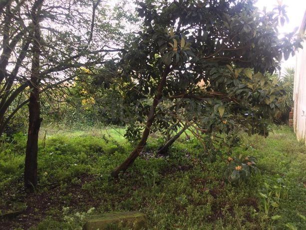 Edifício · Bustos · Oliveira do Bairro