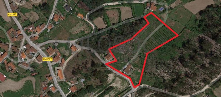 Moradia V5 + Terrenos · Fafe