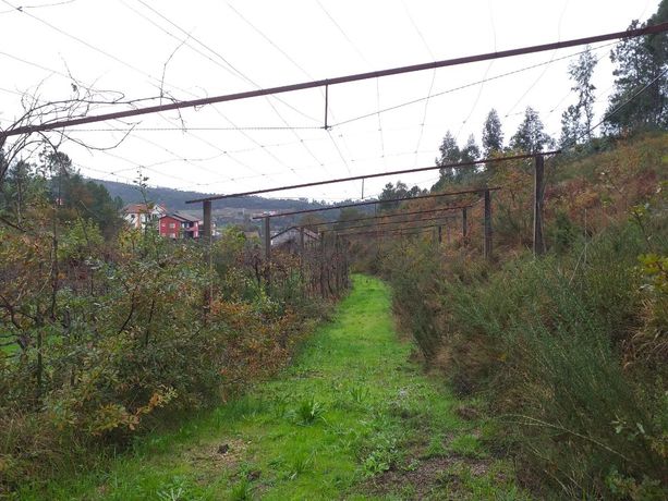 Moradia V5 + Terrenos · Fafe