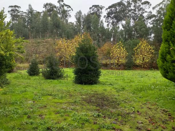 Moradia V5 + Terrenos · Fafe