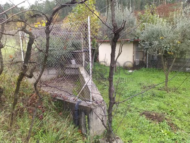 Moradia V5 + Terrenos · Fafe