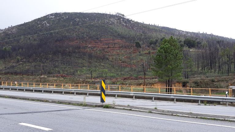 Terreno · Vila Velha de Ródão - Castelo Branco