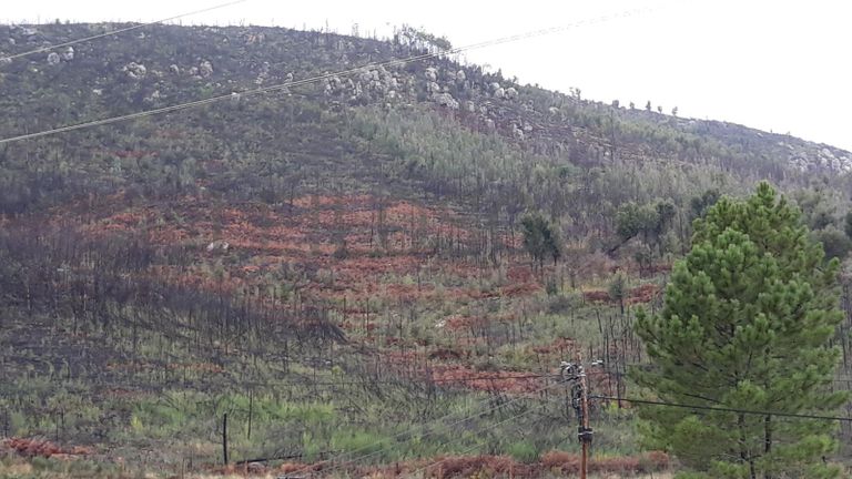 Terreno · Vila Velha de Ródão - Castelo Branco