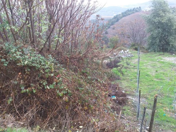 Lote para Construção · Lamego