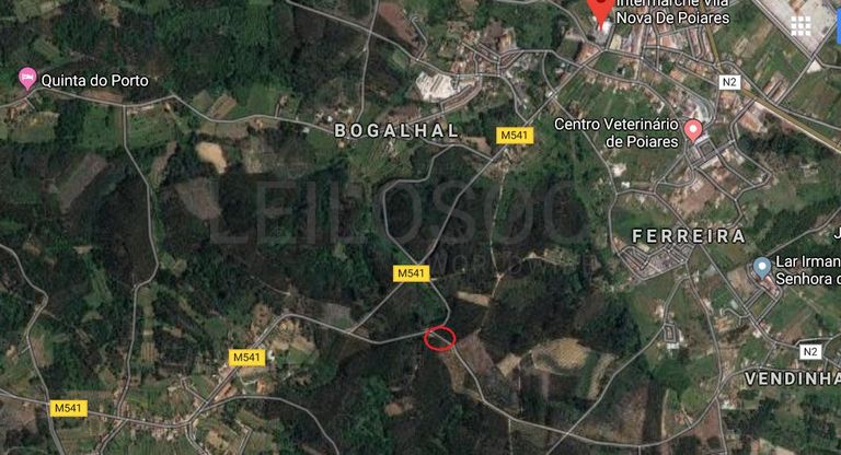 Quinhão Hereditário · Vila Nova de Poiares