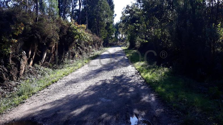 Quinhão Hereditário · Vila Nova de Poiares