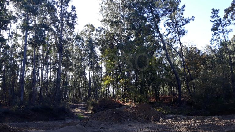 Quinhão Hereditário · Vila Nova de Poiares