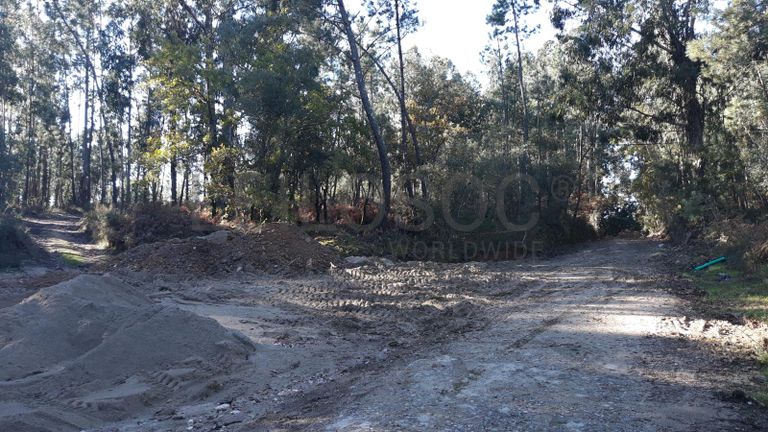 Quinhão Hereditário · Vila Nova de Poiares