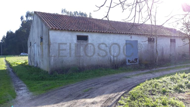 3/10 de Terreno · Montemor-o-Velho