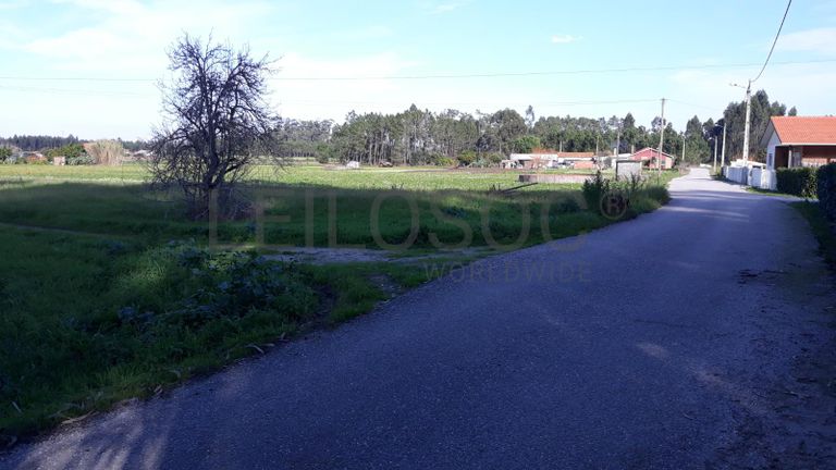 3/10 de Terreno · Montemor-o-Velho