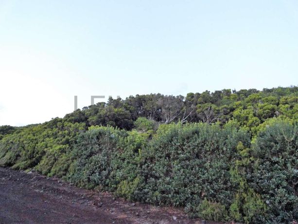 Terrenos + Proporção de Terreno · Horta