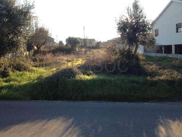 Terreno · Santa Comba Dão
