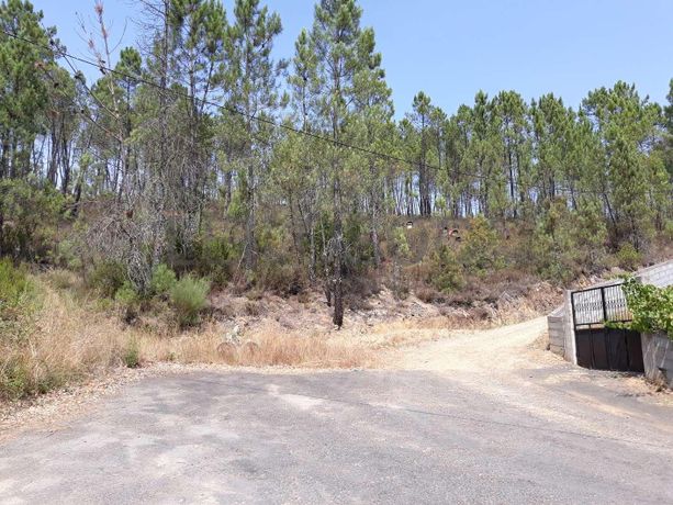 1/3 Terreno · Pampilhosa da Serra