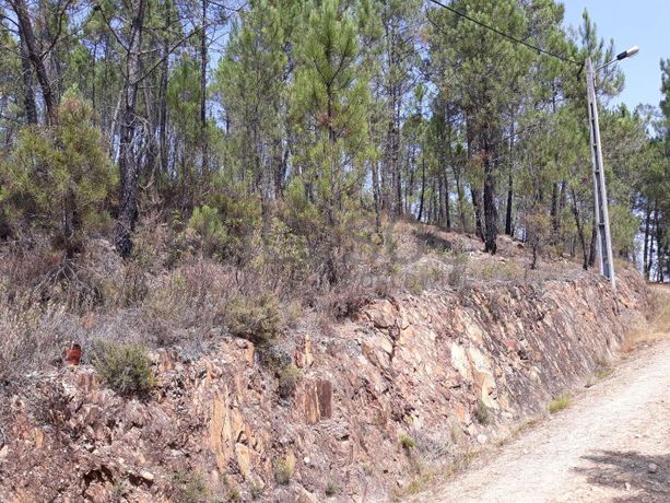 1/3 Terreno · Pampilhosa da Serra