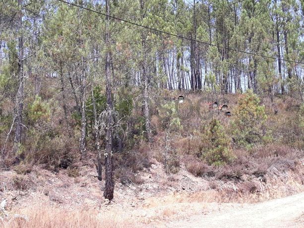 1/3 Terreno · Pampilhosa da Serra