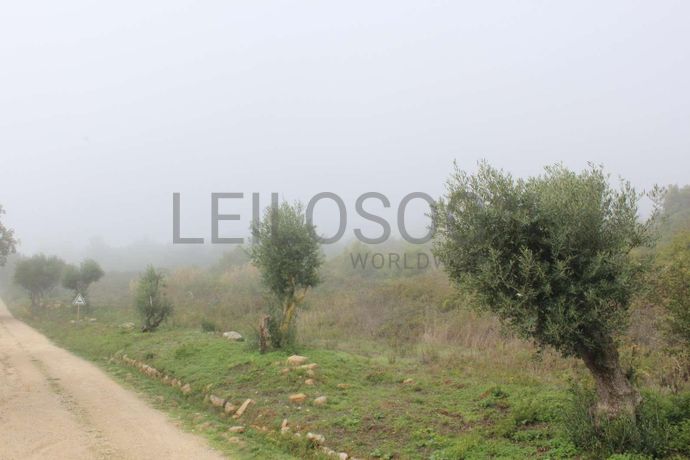 Herdade c/ 25 Hectares · Alenquer