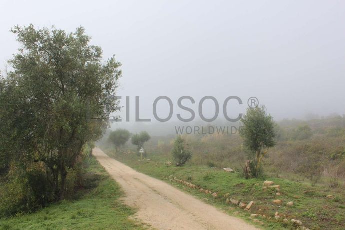 Herdade c/ 25 Hectares · Alenquer