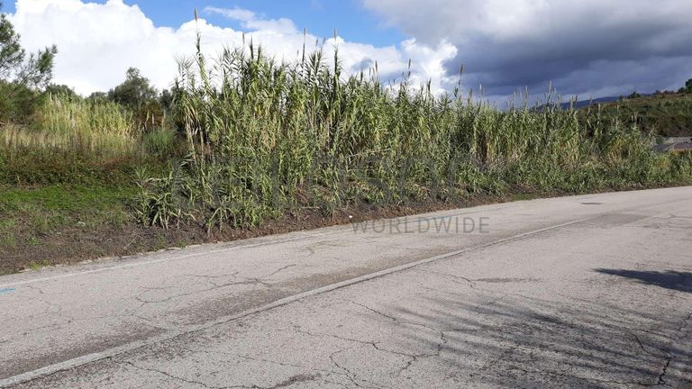 Quinhões Hereditários de Terrenos e Moradia · Coimbra