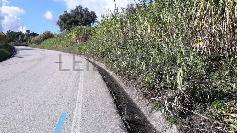 Quinhões Hereditários de Terrenos e Moradia · Coimbra