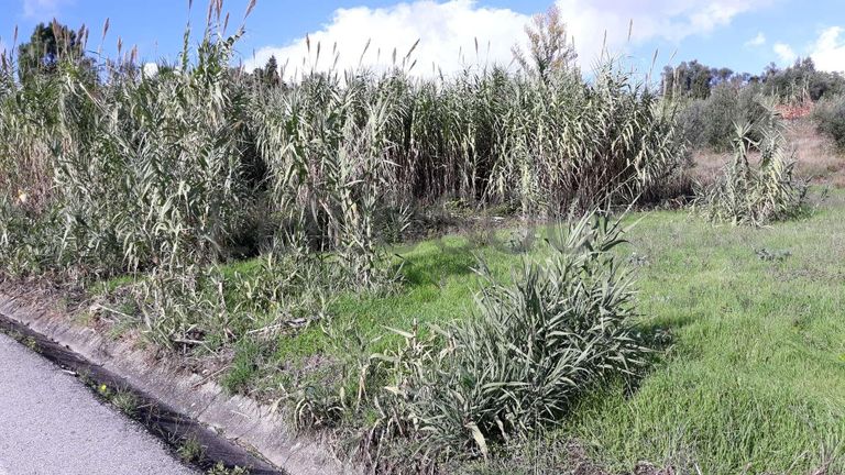 Quinhões Hereditários de Terrenos e Moradia · Coimbra