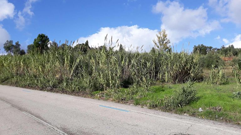 Quinhões Hereditários de Terrenos e Moradia · Coimbra