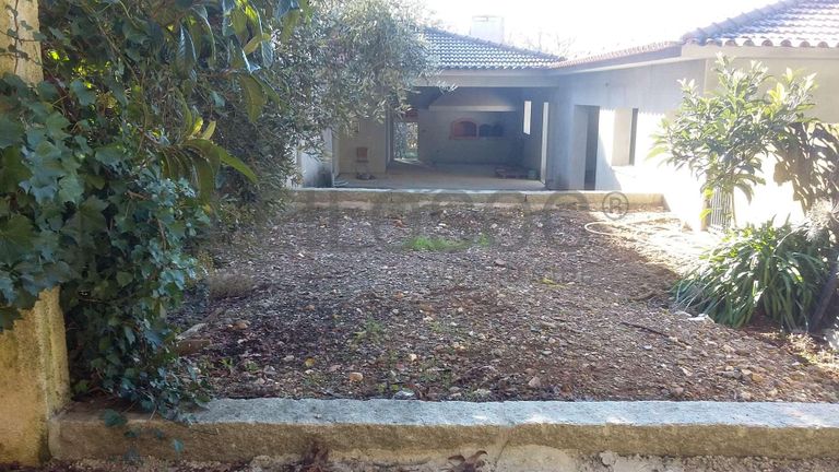 IMOVEL - Prédio Rústico - Vinha, confronta a Norte - Caminho, Sul - Leocádia Maria das Neves, Nascente - Mari ...