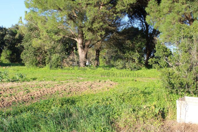 Lote para Construção · Torres Vedras