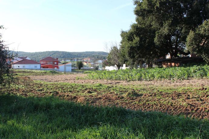 Lote para Construção · Torres Vedras