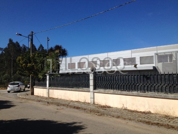 LEILÃO SUSPENSO · Armazém · Águeda