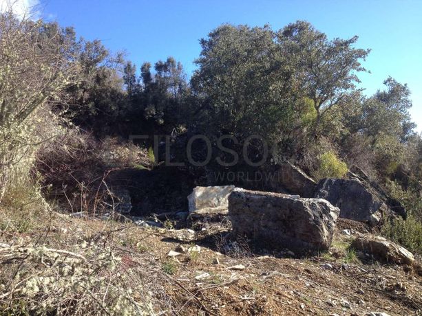 Terreno · Bragança