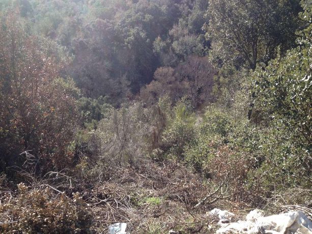 Terreno · Bragança