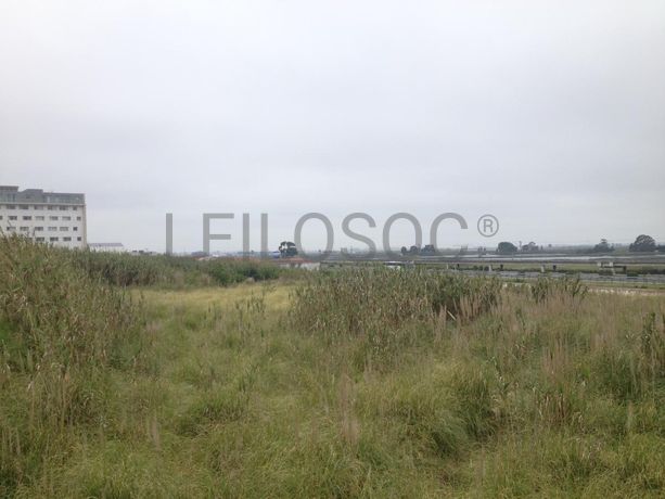 Lote de Terreno para Construção