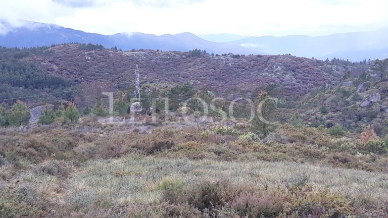 Terreno · Castro Daire