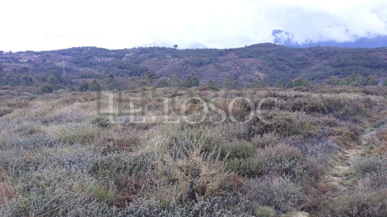 Terreno · Castro Daire