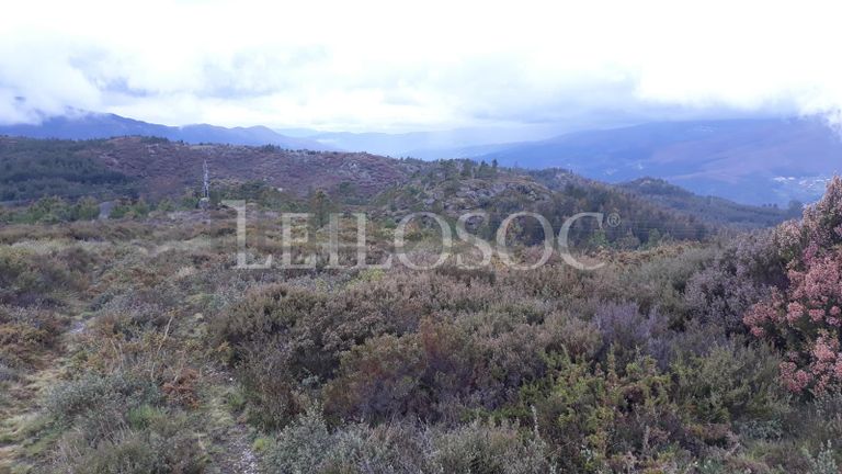 Terreno · Castro Daire