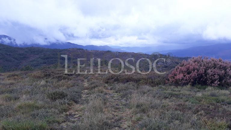 Terreno · Castro Daire