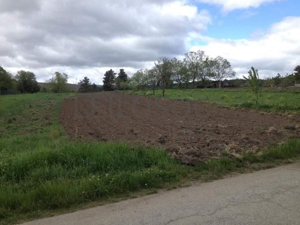 Quinhão Hereditário · Vila Pouca de Aguiar