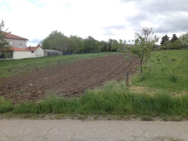 Quinhão Hereditário · Vila Pouca de Aguiar