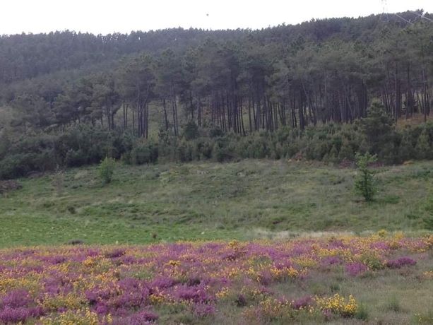 Quinhão Hereditário · Vila Pouca de Aguiar