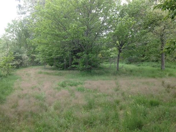 Quinhão Hereditário · Vila Pouca de Aguiar