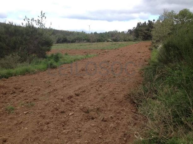 Quinhão Hereditário · Vila Pouca de Aguiar