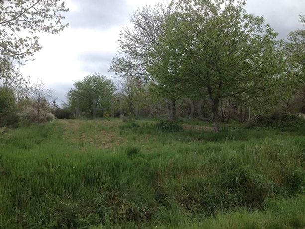 Quinhão Hereditário · Vila Pouca de Aguiar