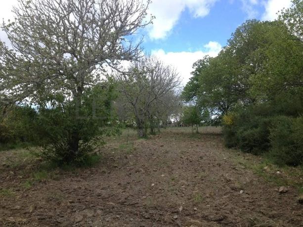 Quinhão Hereditário · Vila Pouca de Aguiar